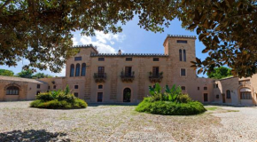 Il Glicine La Piana dei Colli Mondello